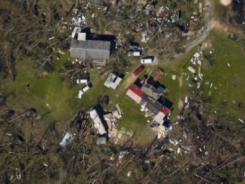 Hurricane Michael damage to coastal forests