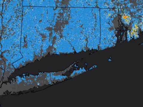 Gypsy Moth defoliation was extensive in 2015 in northeastern Pennsylvania