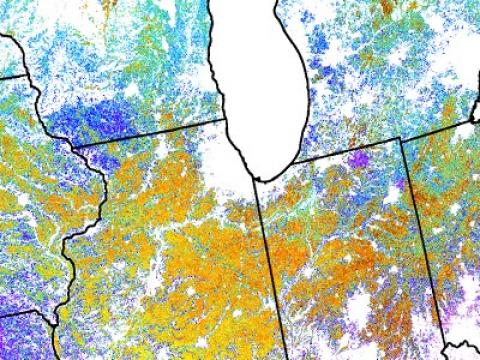 ForWarn's start of green-up for croplands