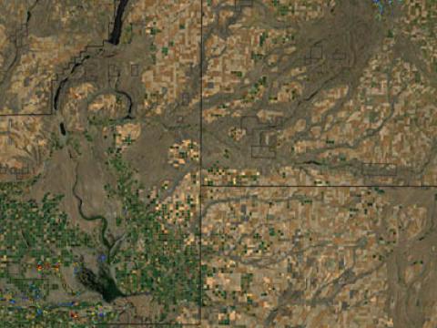 Cumulative effects of insect defoliation in the Wenatchee National Forest, Washington. Image: Steve Norman, USFS