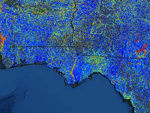 Floodwaters drown vegetation along the Gulf Coast; Image credit: Steve Norman, USFS