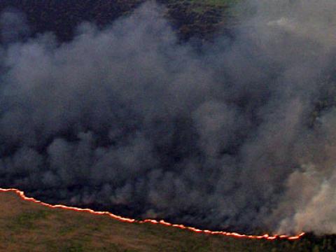 The Pains Bay Fire. Image credit: USFWS
